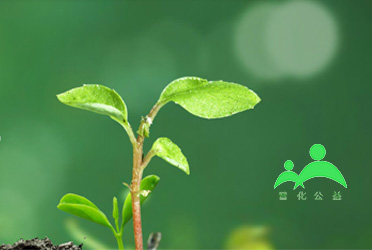 普化公益助學平臺